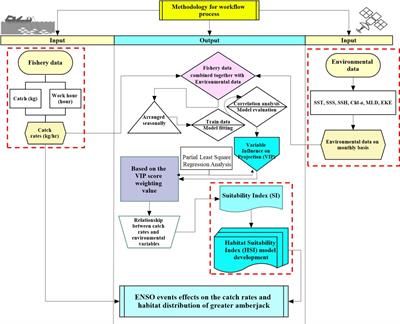 Habitat changes and catch rate variability for greater amberjack in the Taiwan Strait: The effects of El Niño–southern oscillation events